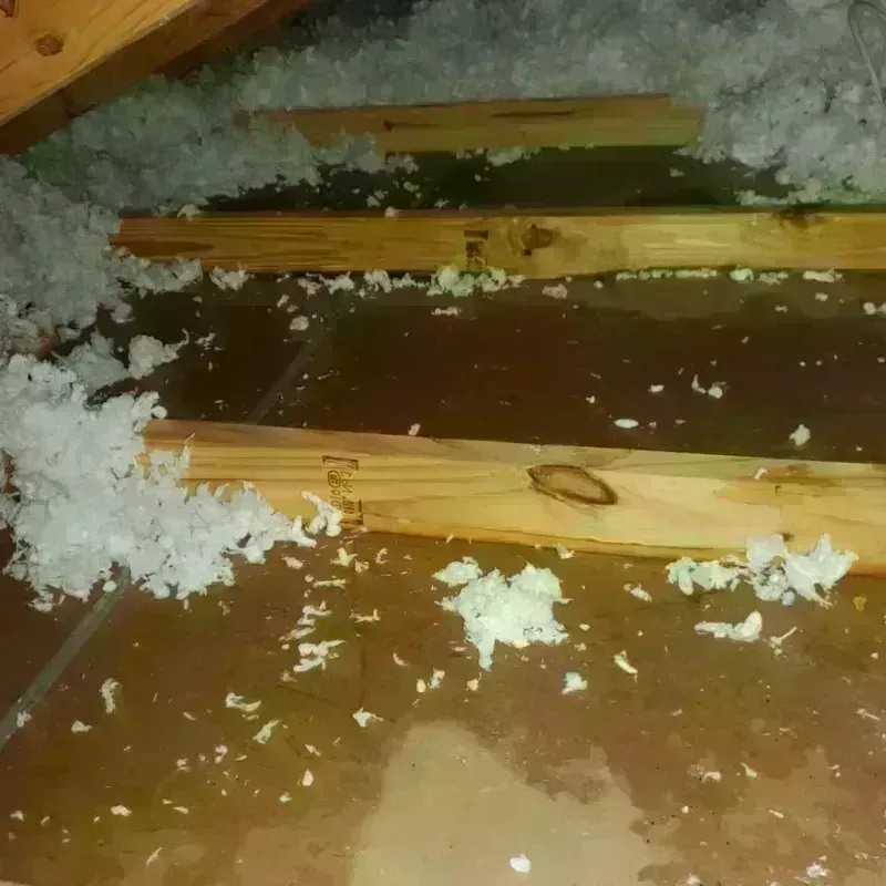 Attic Water Damage in Madera County, CA