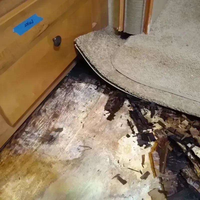 Wood Floor Water Damage in Madera County, CA